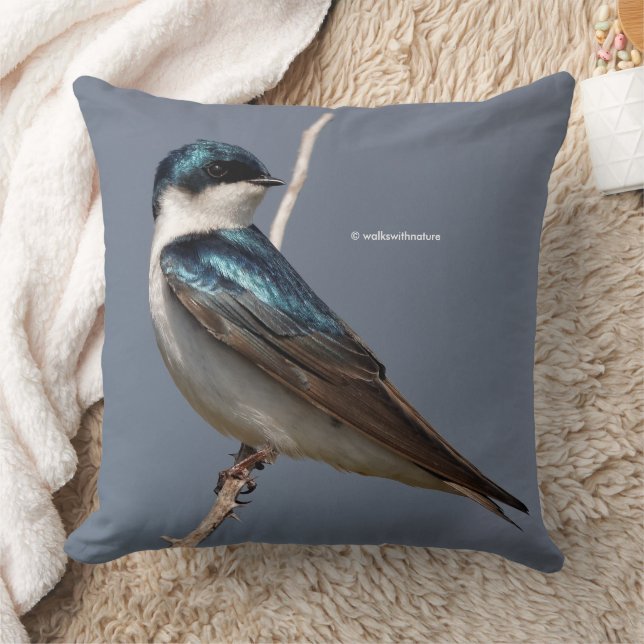 Coussin Étonnant oiseau-chanteur avale dans le soleil (Couverture)