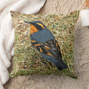 Coussin Étonnante Grive variée sur la pelouse
