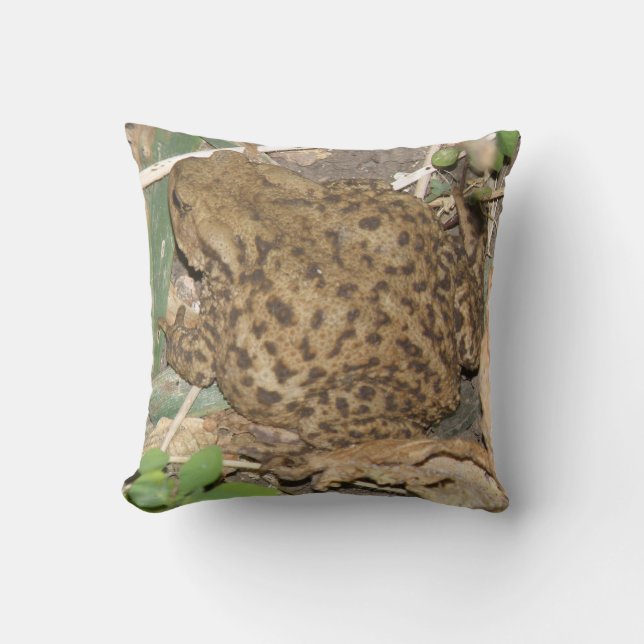 Coussin européen commun de crapaud (Recto)