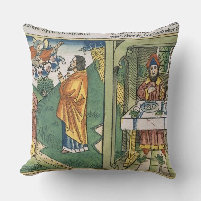 Coussin Exode 8 1-15 les sept pestes de l'Egypte : Moïse (Recto)