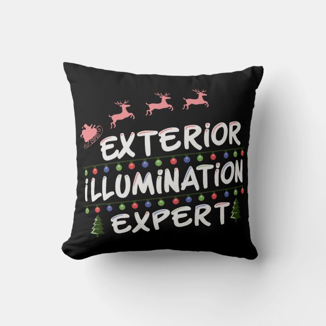 Coussin Expert en éclairage extérieur amusant (Recto)