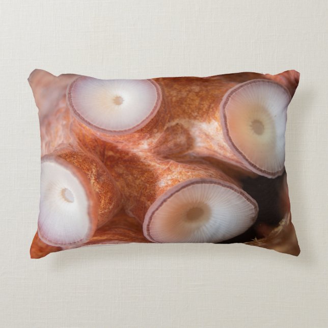 Coussin extérieur avec tentacules (Devant)