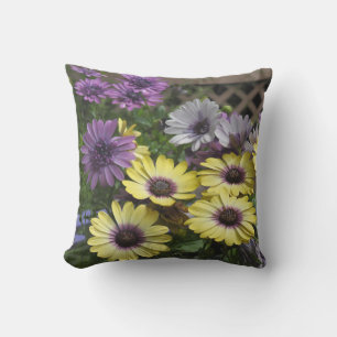 Coussin extérieur de marguerites africaines jaunes
