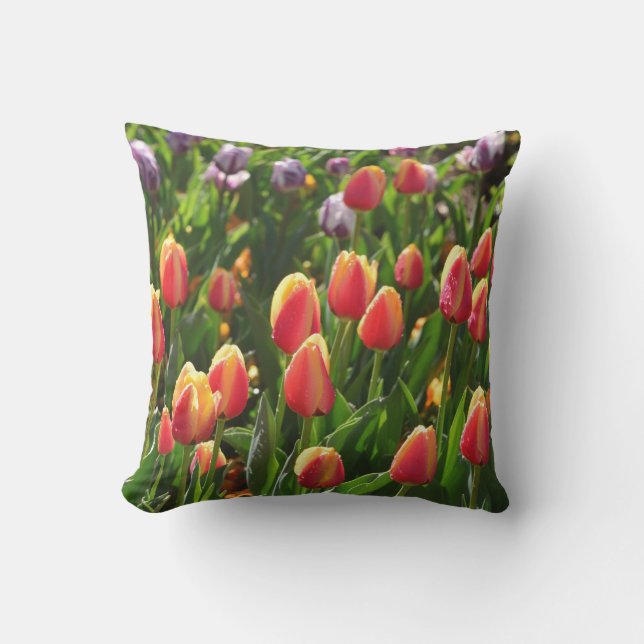 coussin extérieur de tulipes de matin (Recto)