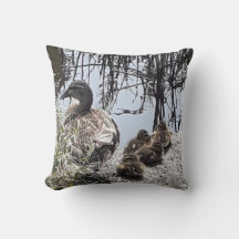 Famille de canard sur le canal jeter coussin.