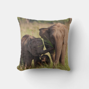 Coussin Famille d'éléphants asiatiques indiens dans la sav