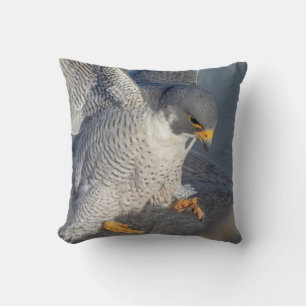 Coussin Faucon pèlerin le long de la rivière Hudson