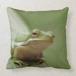Coussin Faune décorative verte mignonne de grenouille