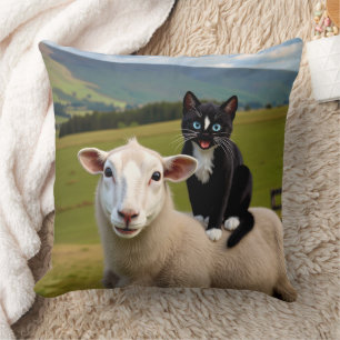 Coussin Felini's Irish Ride - A Sheepish Adventure