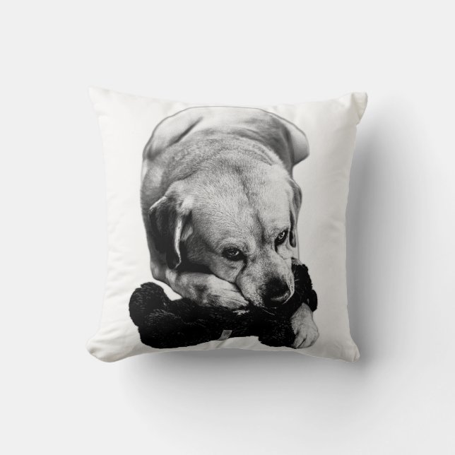 Coussin Fermer et contenu (Recto)