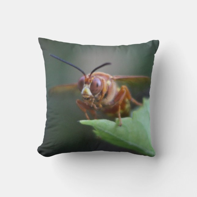 Coussin Fermeture d'un tueur canadien (Recto)