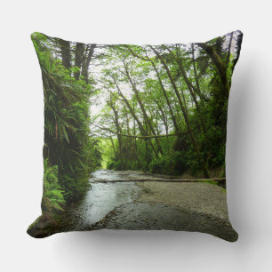 Coussin Fern Canyon II au Parc national de Redwood