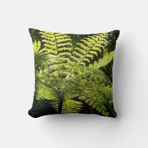 Coussin Ferne arborescente dans la forêt tropicale