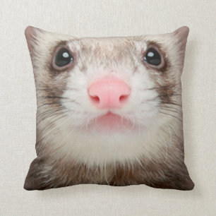 Coussin Ferret