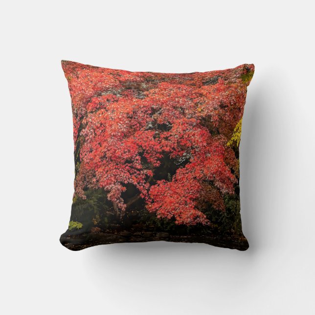 COUSSIN FEUILLES D'AUTOMNE (Recto)