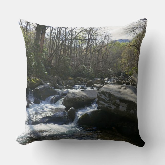 Coussin Feuilles de printemps à la rivière Little Pigeon (Recto)