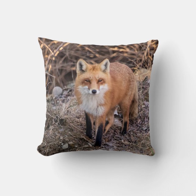 Coussin Fin de Fox rouge et personnel (Recto)