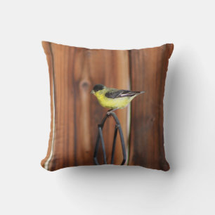 Coussin Finch or et vieille clôture en bois