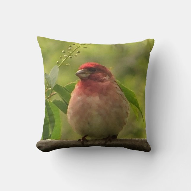 Coussin Finch pourpre (Recto)