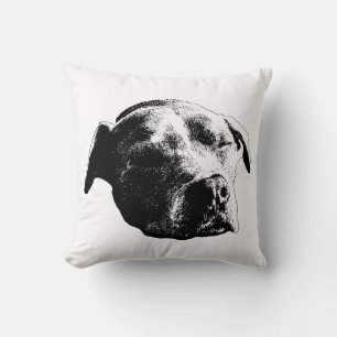 Coussin Fireside Daydream