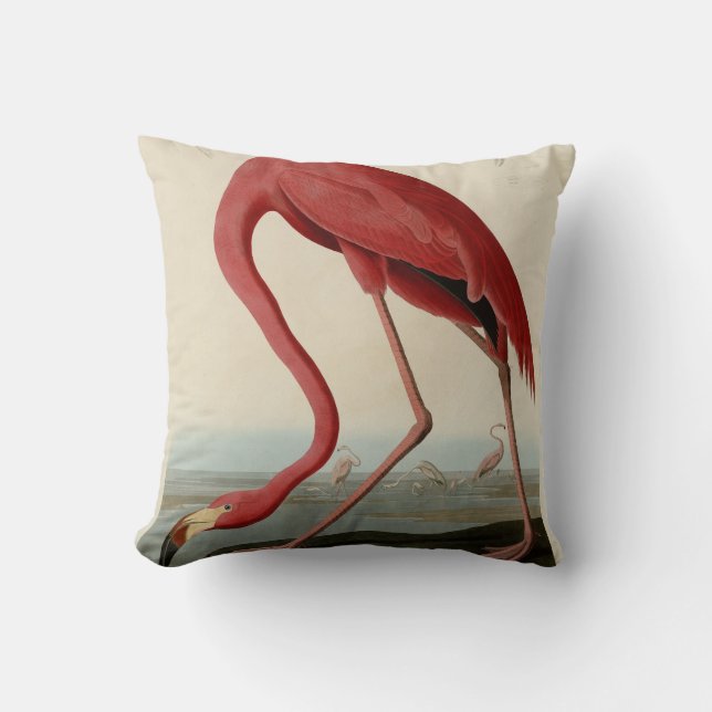 Coussin Flamant rose américain d'Audubon's Birds of Americ (Recto)