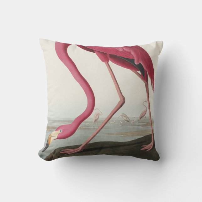 Coussin Flamant rose rose des oiseaux d'Amérique (Recto)
