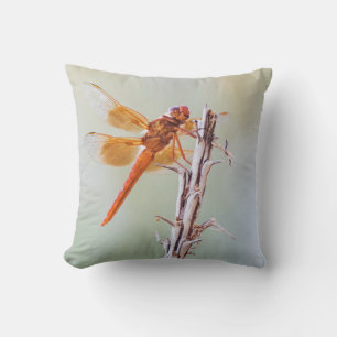 Coussin Flame Skimmer Dragonfly sur Agave