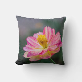 Coussin Fleur Cosmos du jardin