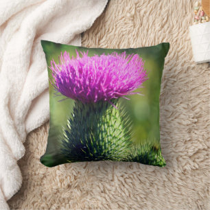 Coussin Fleur de chardon violet