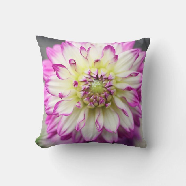Coussin Fleur de dahlia de Fuschia (Recto)