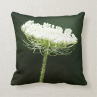 Fleur de dentelle de la Reine Anne