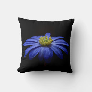 Coussin Fleur de Gerbera Daisy bleue sur fond noir