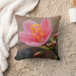 Coussin Fleur de Jatropha Rose Clair