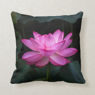 Coussin Fleur de Lotus