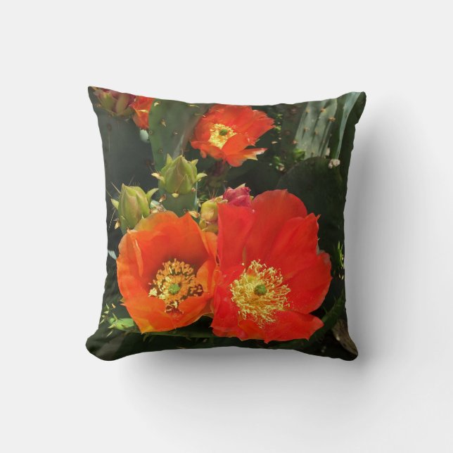 Coussin Fleur Florale Sud-Ouest Fleur rouge cactus brillan (Recto)