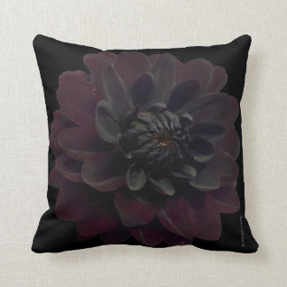 Coussin Fleur noire florale moderne de dahlia