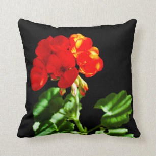 Coussin Fleur rouge de géranium