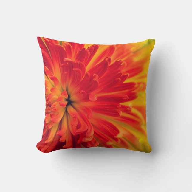 Coussin Fleur rouge-orange (Recto)