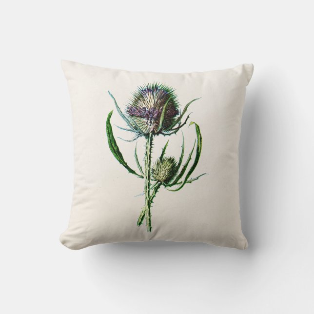 Coussin Fleur sauvage de vieux chardon écossais du cru (Recto)