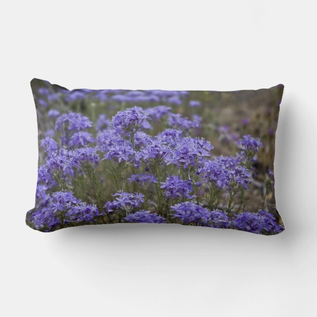 Coussin Fleur sauvage violet 3 (Recto)