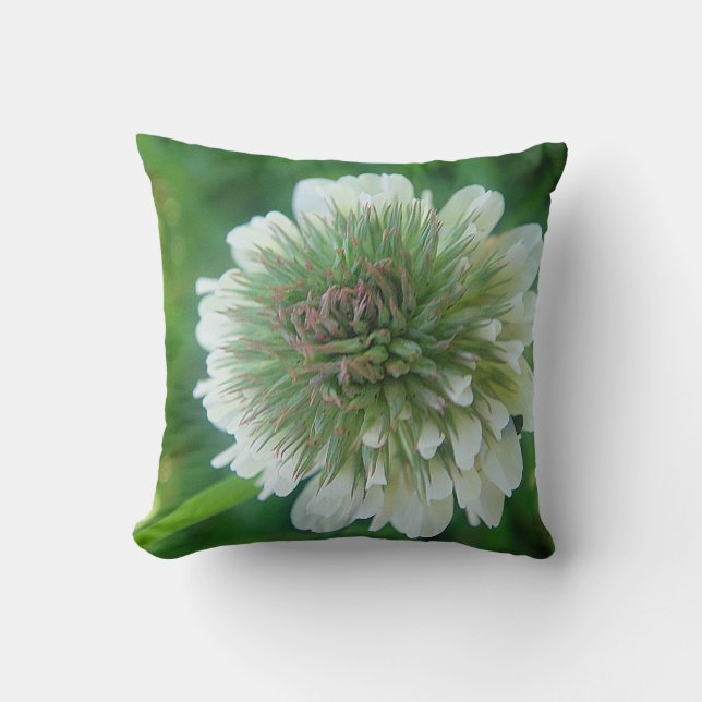 Coussin Fleurs blanches de trèfle (Recto)