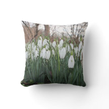 Fleurs blanches, perce-neiges de ressort