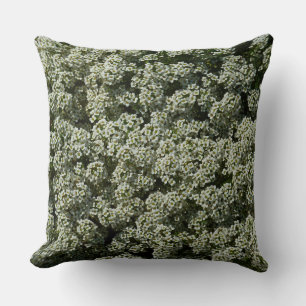 Coussin Fleurs d'Alyssum doux Floral blanc