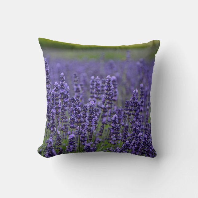 Coussin Fleurs de lavande violette (Recto)