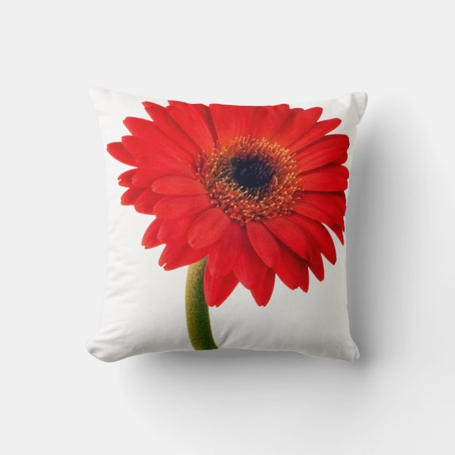 Coussin Fleurs de marguerite rouge de Gerber (Recto)