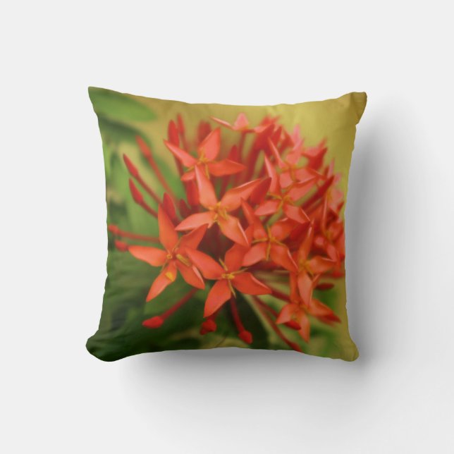 Coussin fleurs de printemps, Pâques, printemps, nature, or (Recto)