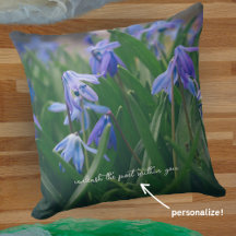 Fleurs de scilla bleue dans le jardin de printemps