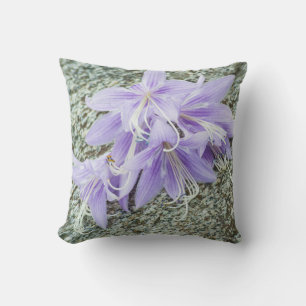 Coussin fleurs d'hosta lavande en pleine floraison