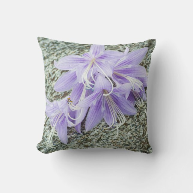 Coussin fleurs d'hosta lavande en pleine floraison (Recto)