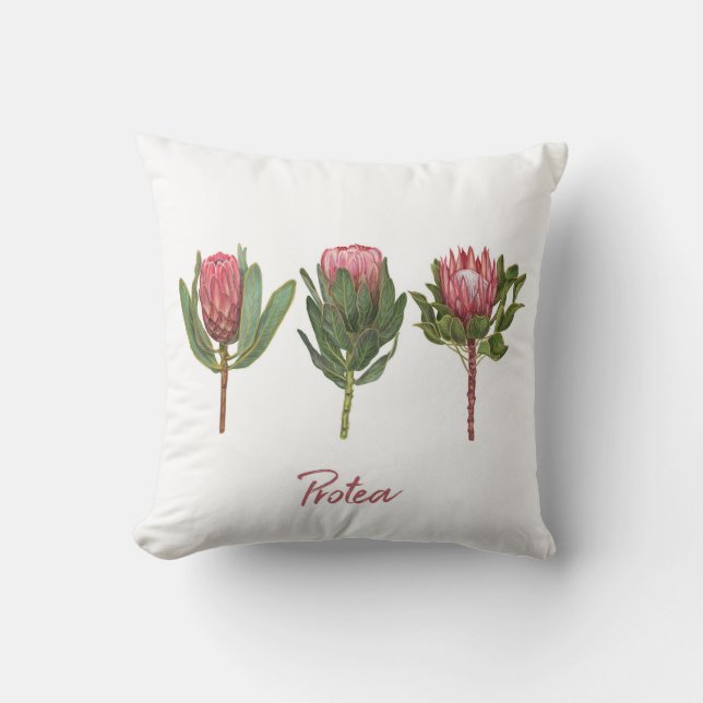 Coussin Fleurs Protea (Recto)